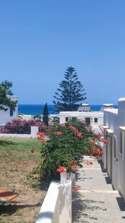 Gartenanlage TUI SUNEO Chrissi Amoudia