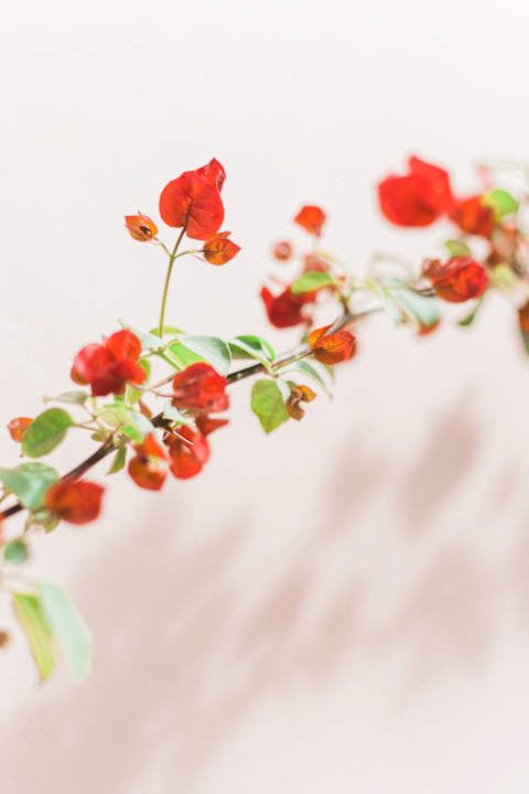 Außenansicht Afroditi Pansion