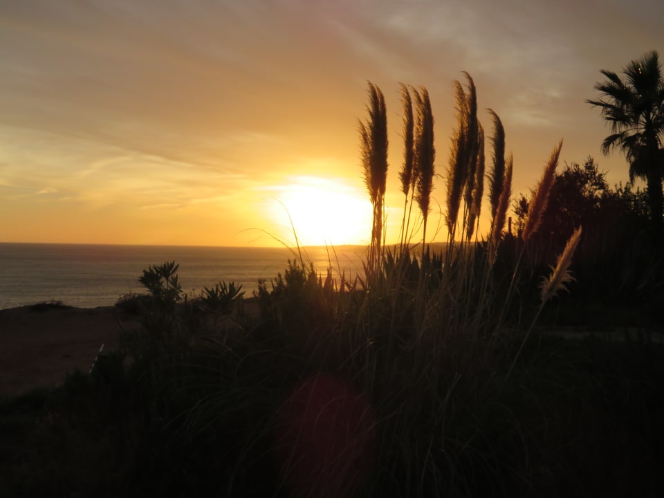 Ausblick 3HB Guaraná - All Inclusive