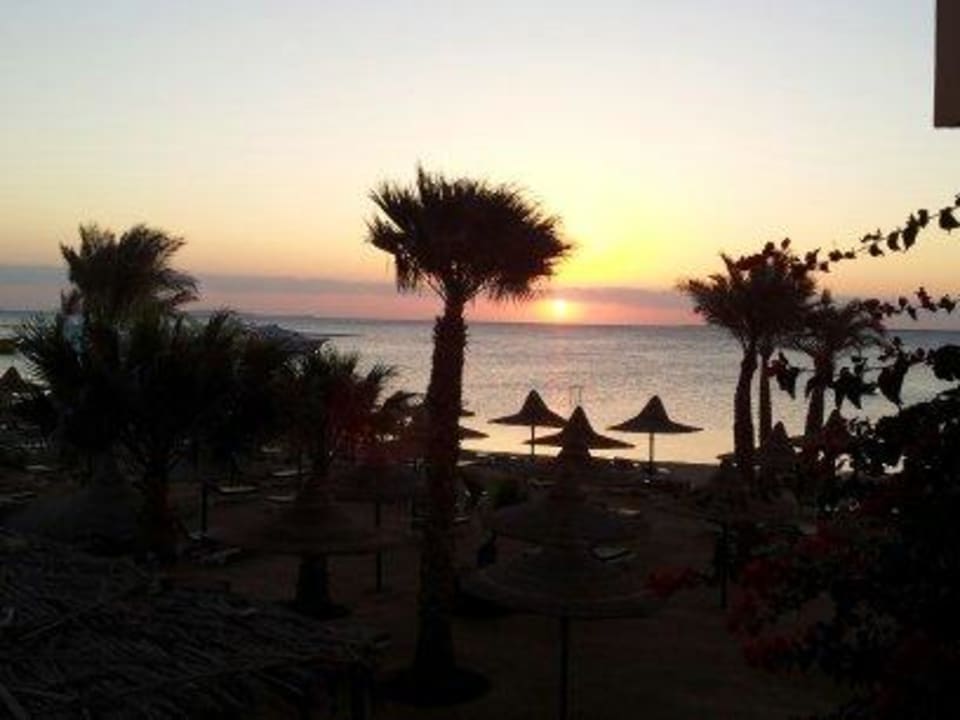 Sonnenaufgang Giftun Azur Resort