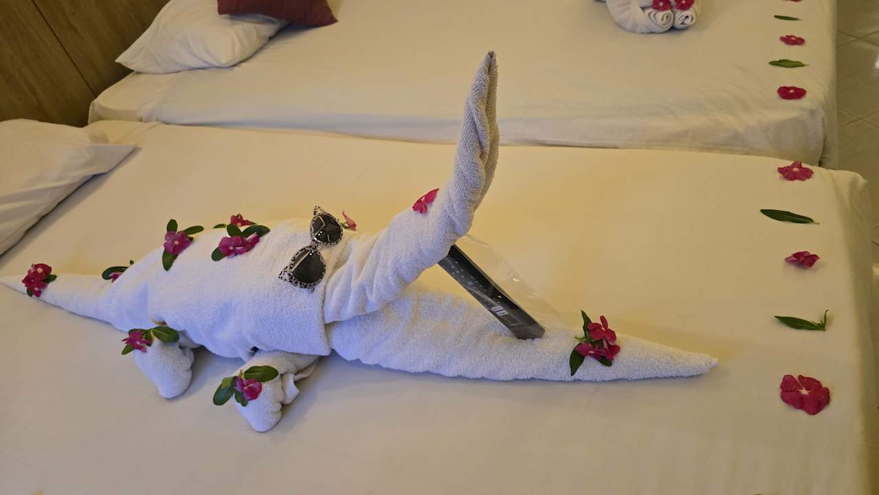 Zimmer Regina Resort and Aqua Park Hurghada