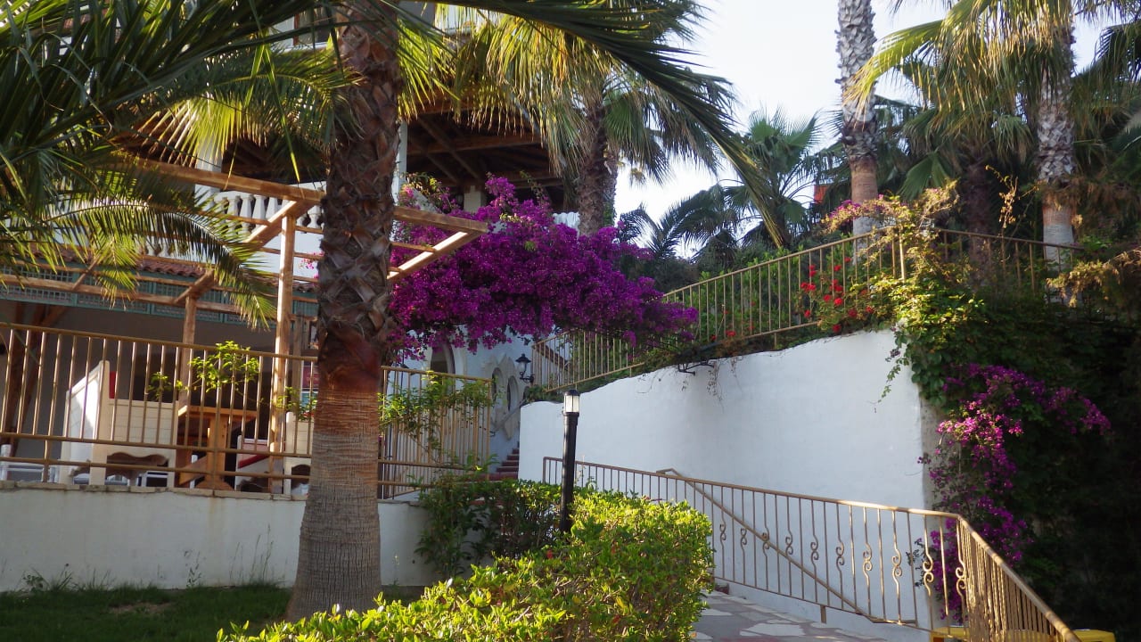 Weg zum Strand Hotel Defne Dream