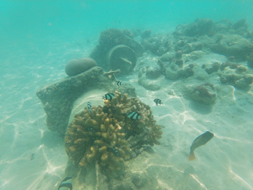 Sport & Freizeit Adaaran Select Meedhupparu Island Resort - Premium All Inclusive