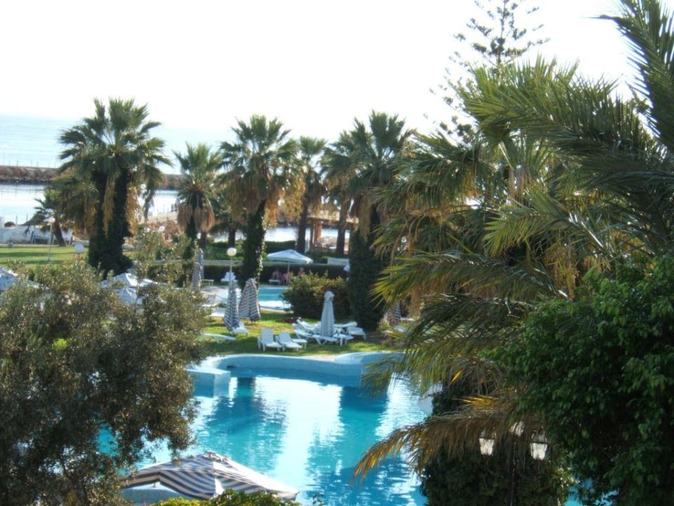 Blick auf den Pool Hotel El Hana Palace