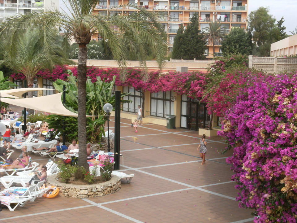 From the entrance - restaurant on right, piool on  Hotel Club Cala Romani