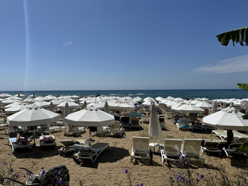 Strand Merve Sun Hotel & Spa