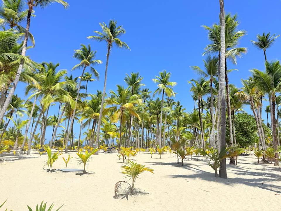 Strand Hotel Riu Palace Macao - Adults only