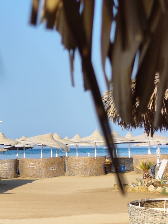 Ausblick Pickalbatros Aqua Blu Resort - Hurghada