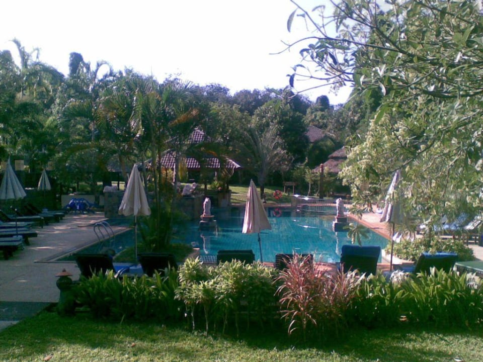 Blick auf den Pool The Leaf on The Sands by Katathani