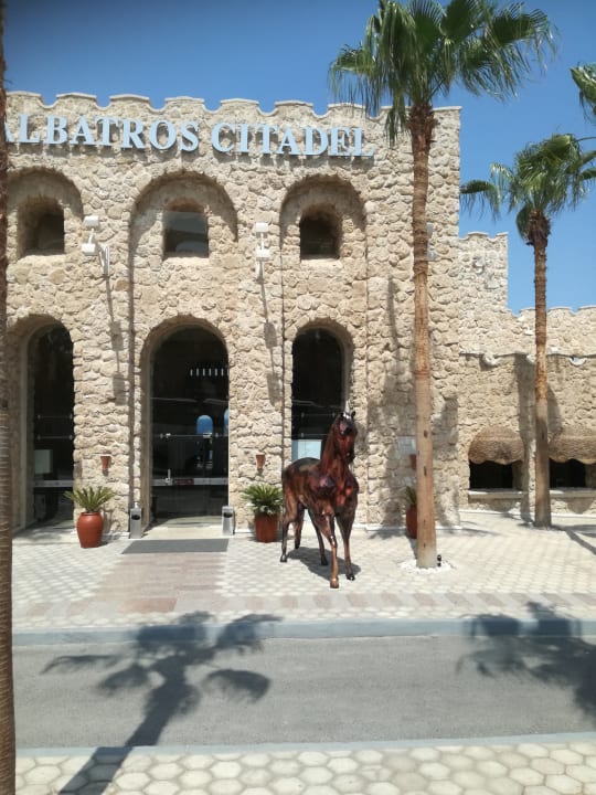 Außenansicht Pickalbatros Citadel Resort