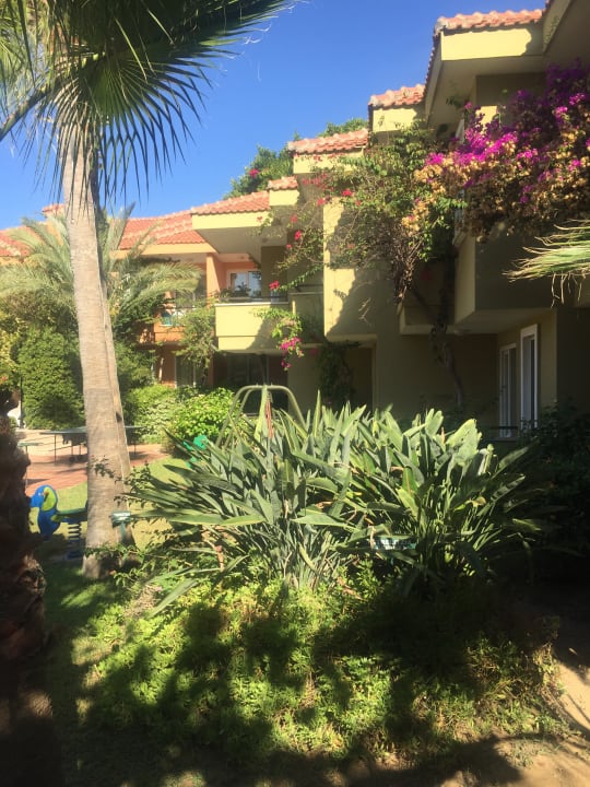 Gartenanlage Club Dizalya