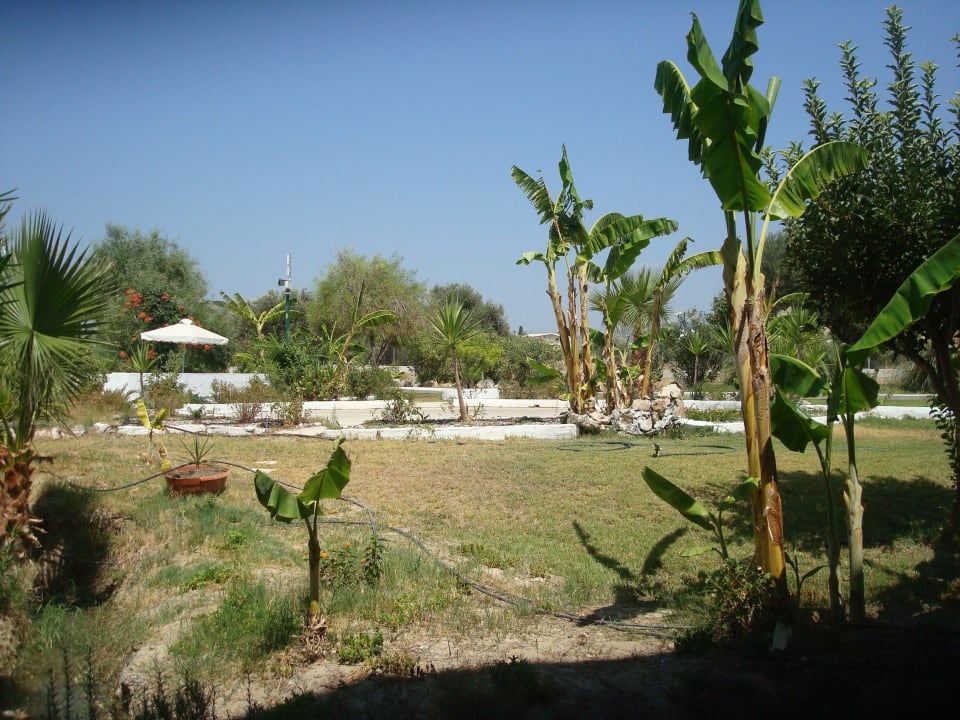 Blick vom Balkon zum Pool Olive Garden Hotel