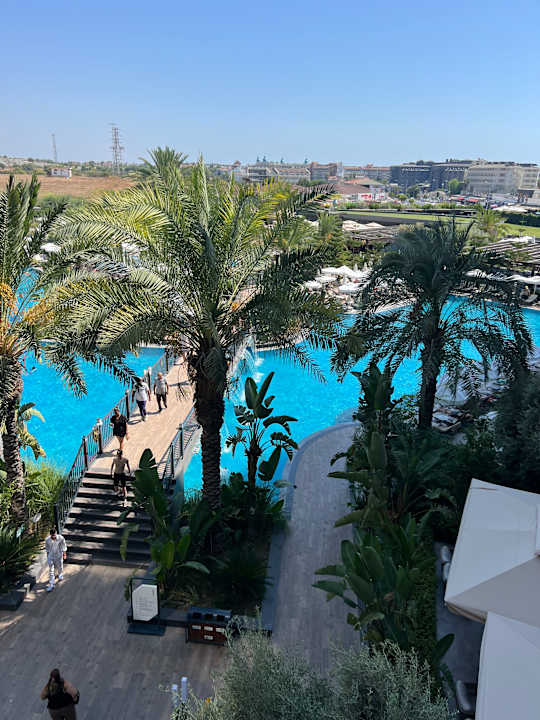 Pool Calyptus Kirman Premium