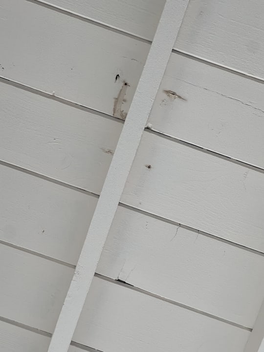 Zimmer Blvd Sunset, a spot to relax