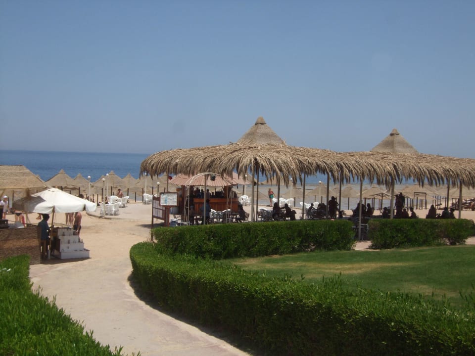 Strandbar... Serenity Alpha Beach