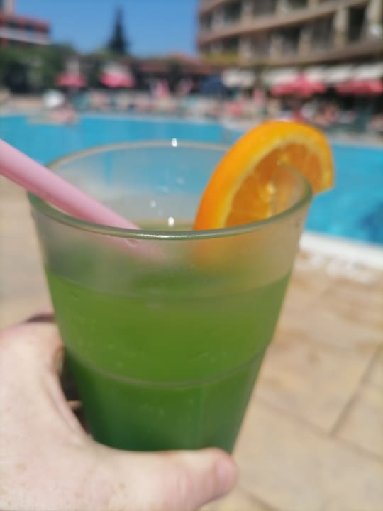 Pool Hotel Mena Palace