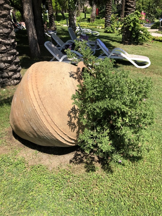 Gartenanlage PALOMA Perissia