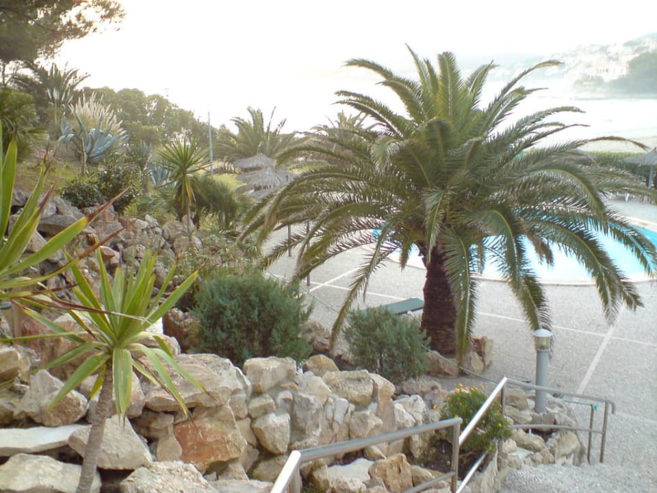 Poolanlage Hotel Vibra Beverly Playa