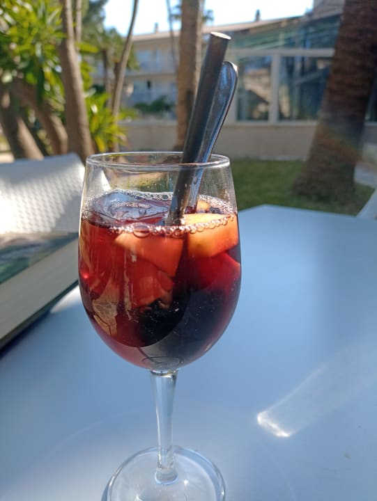 Gartenanlage allsun App.-Hotel Orquidea Playa