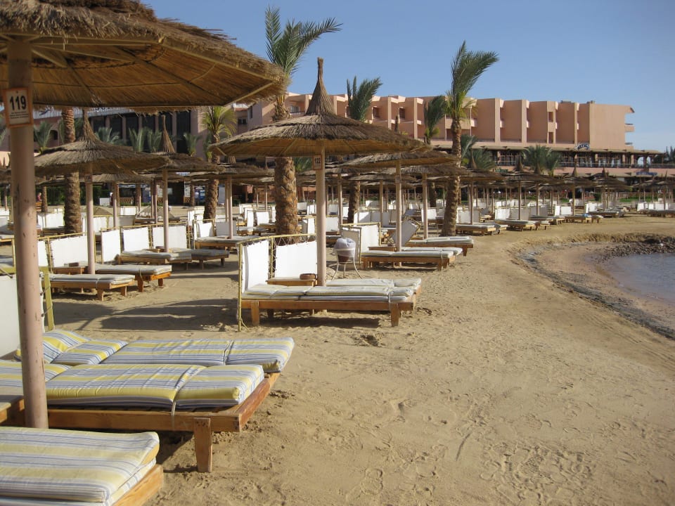 Toller Strand mit tollen Liegen! Pickalbatros Palace Resort