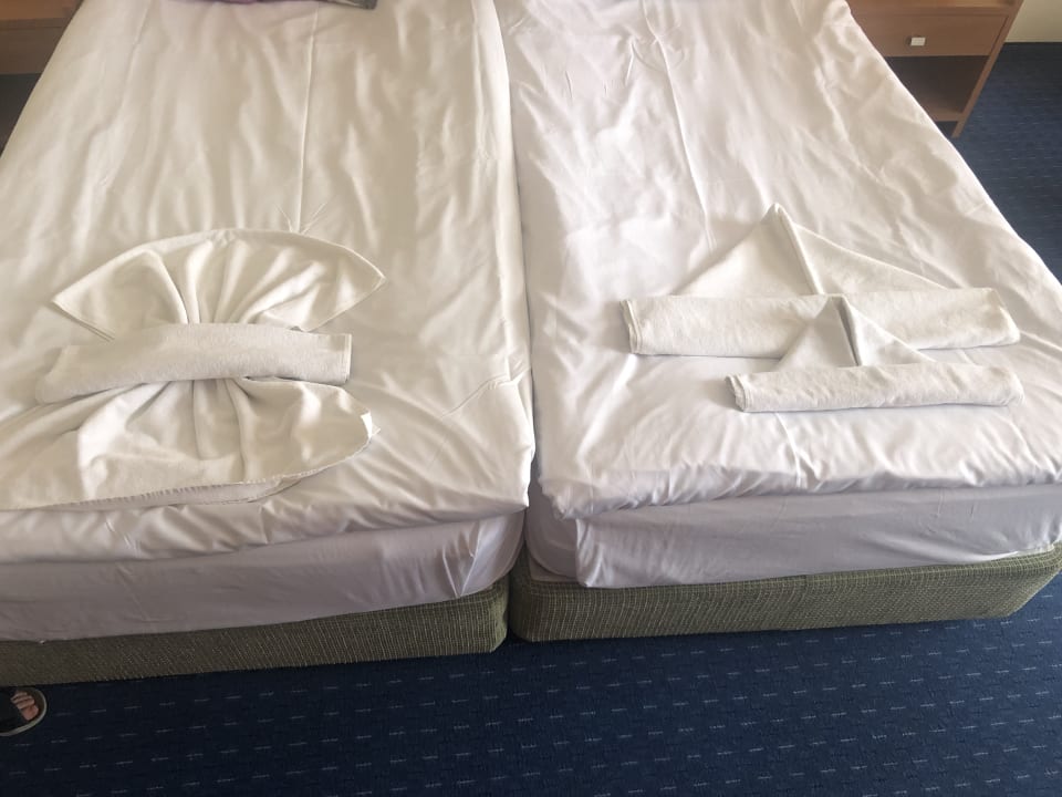 Zimmer DAS Club Hotel Sunny Beach