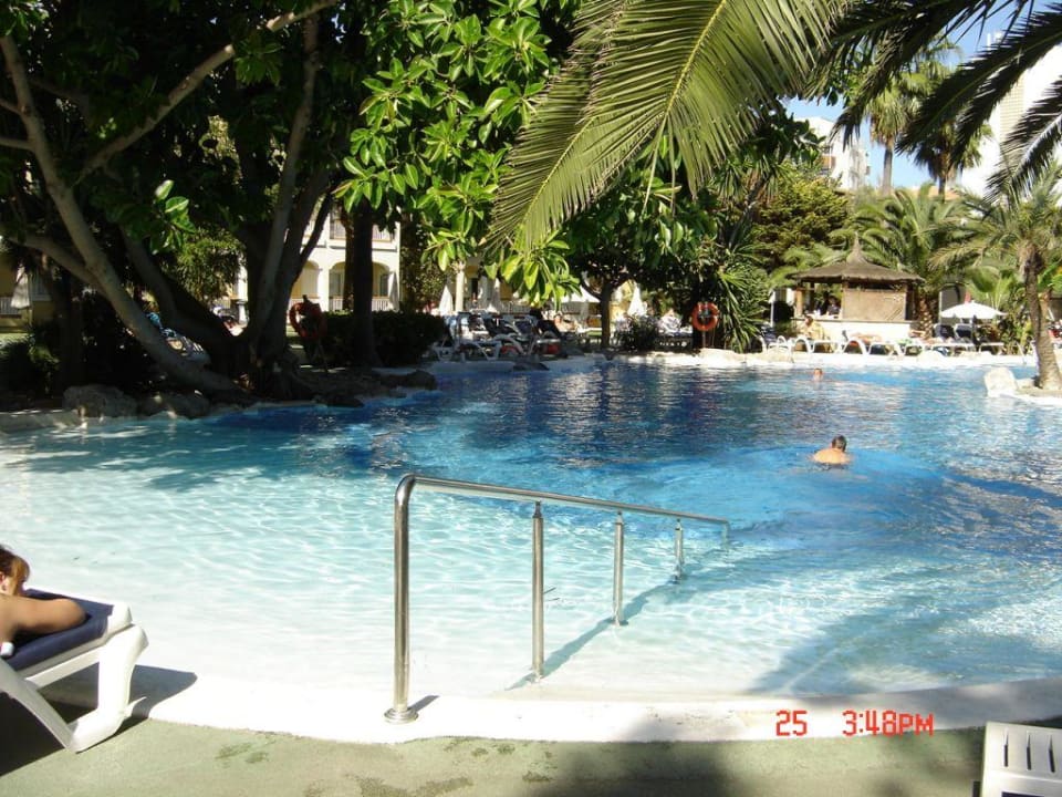 Pool Alcudia Garden Aparthotel