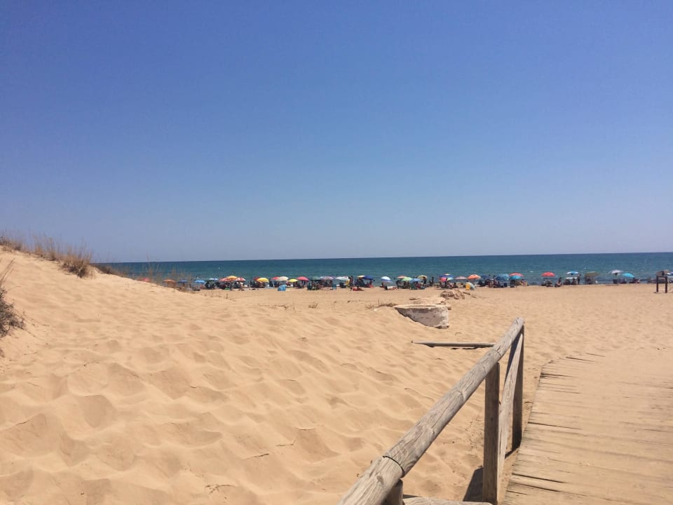 Dünen von La Mata Hotel Lloyds Beach Club