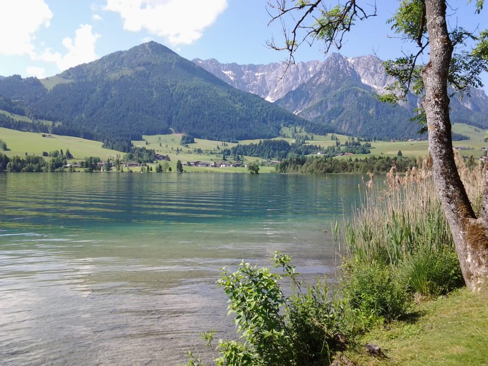 Ausblick Hotel Bellevue am See