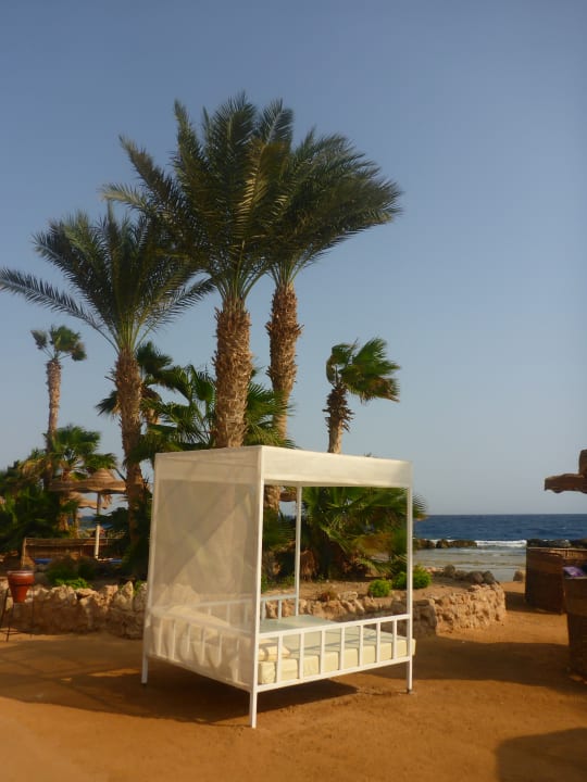 Strand Pickalbatros Citadel Resort