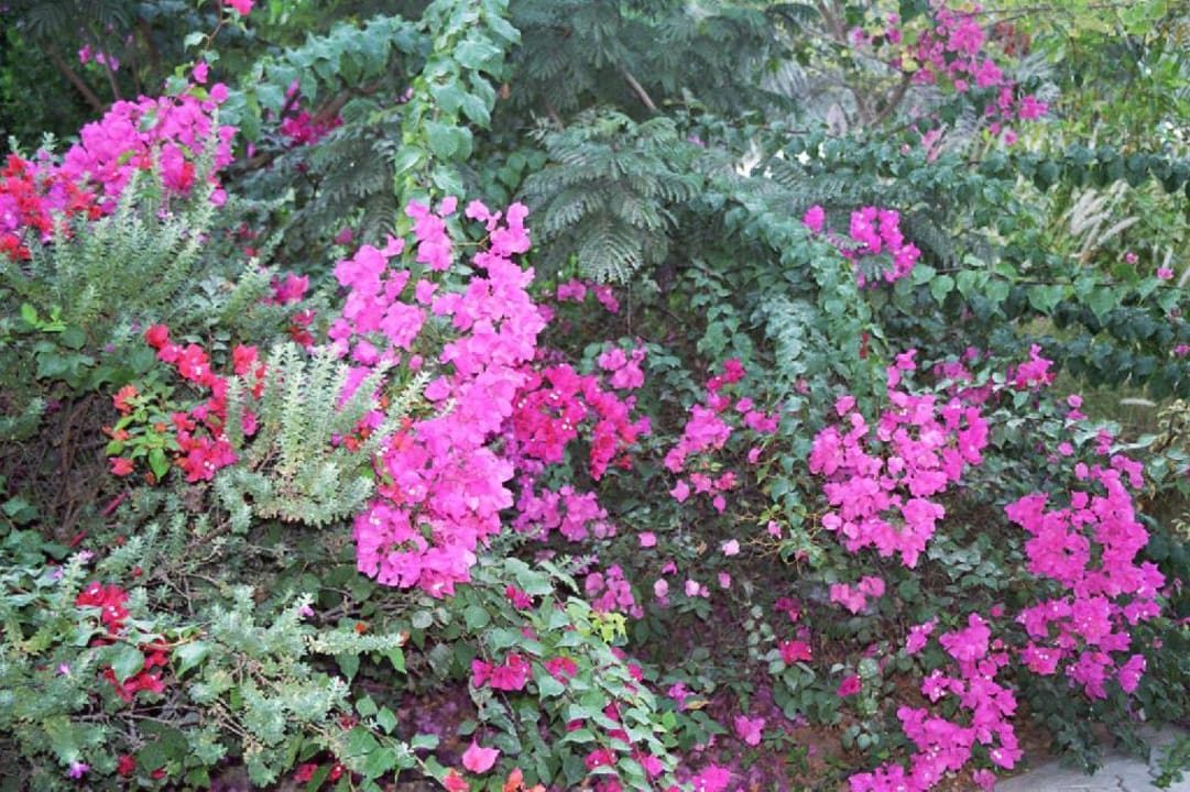 Umm al Quwain Beach Hotel Umm Al Quwain Beach Hotel