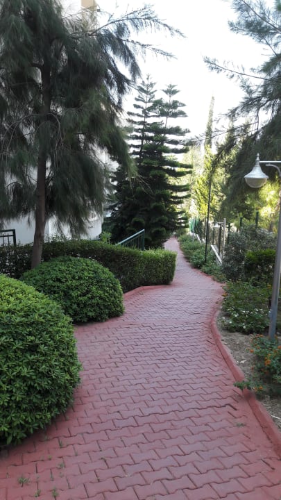 Garten  Side Sun Hotel