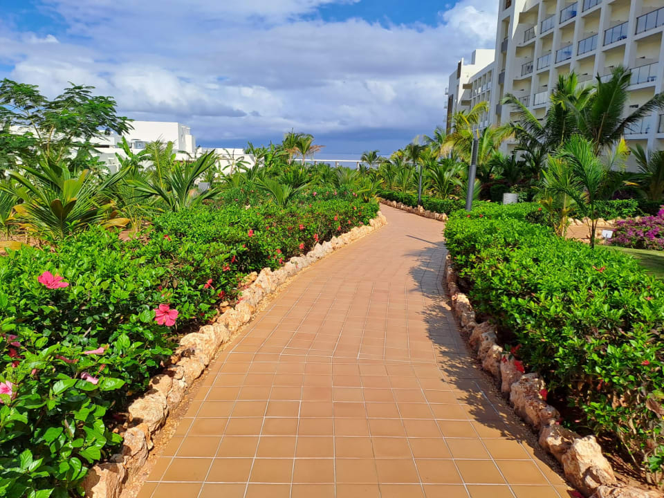 Gartenanlage Hotel Riu Jambo