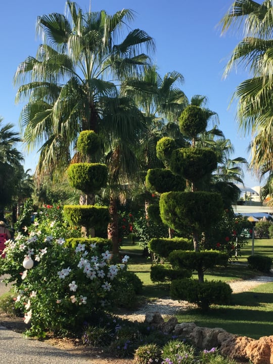 Gartenanlage VONRESORT Golden Coast