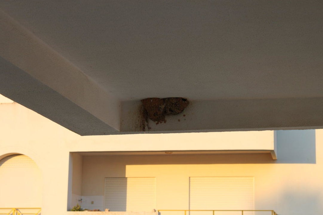Schwalbennest / Balkon Ukino Terrace Algarve - Concept Hotel