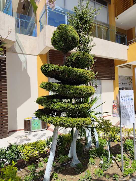 Gartenanlage Alaiye Resort & Spa