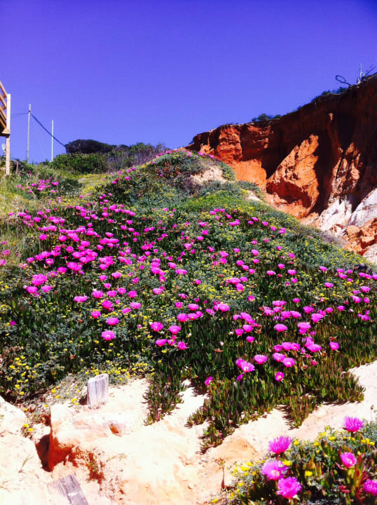 Strand PortoBay Falésia