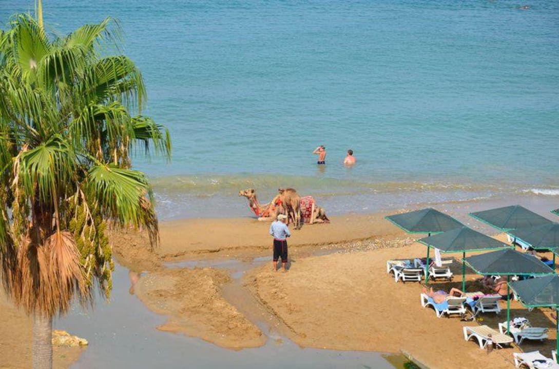 Vom Balkon Venessa Beach Hotel