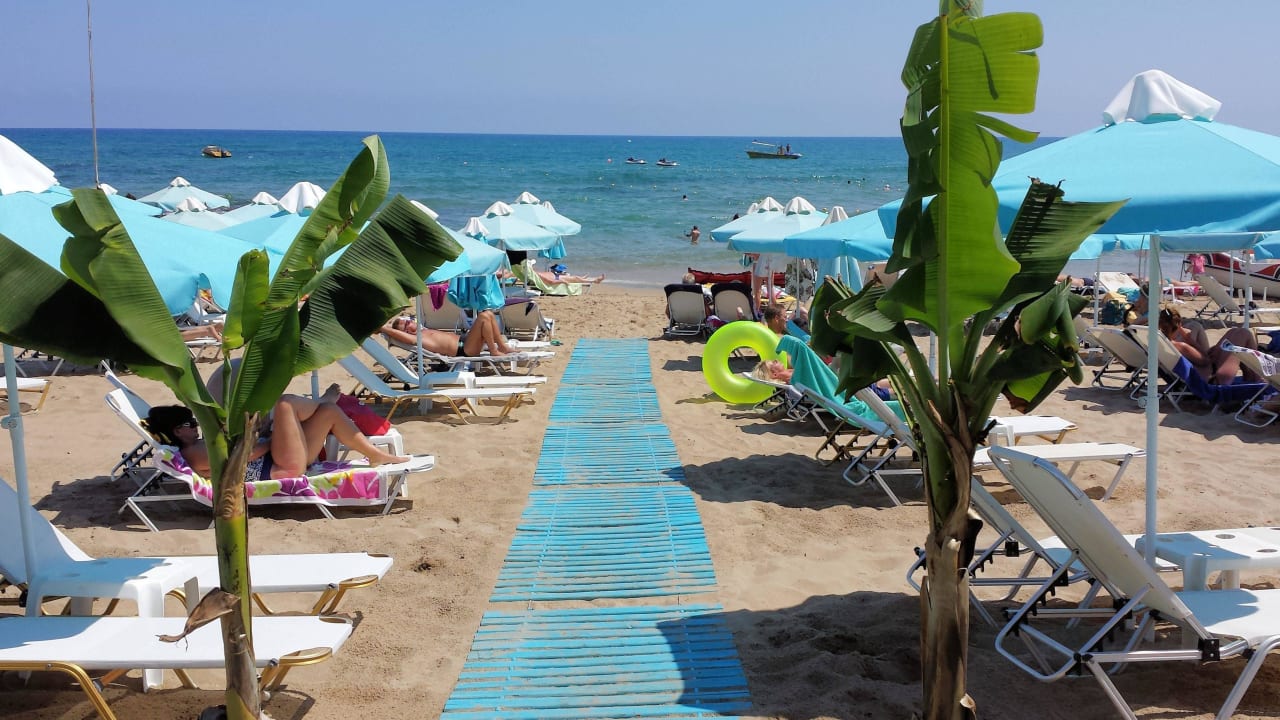 Strand ein Stück nach links Cactus Royal