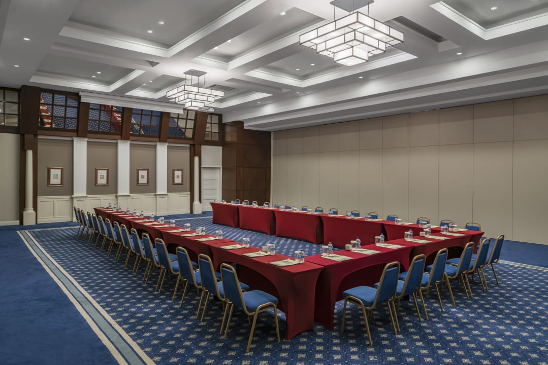 Sonstiges Papillon Ayscha