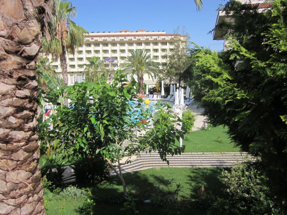 Ein Teil des Gartens Seaden Corolla Hotel