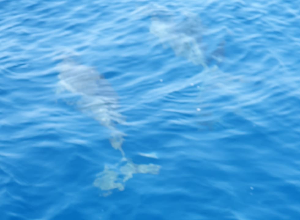 Sport & Freizeit Adaaran Select Meedhupparu Island Resort - Premium All Inclusive