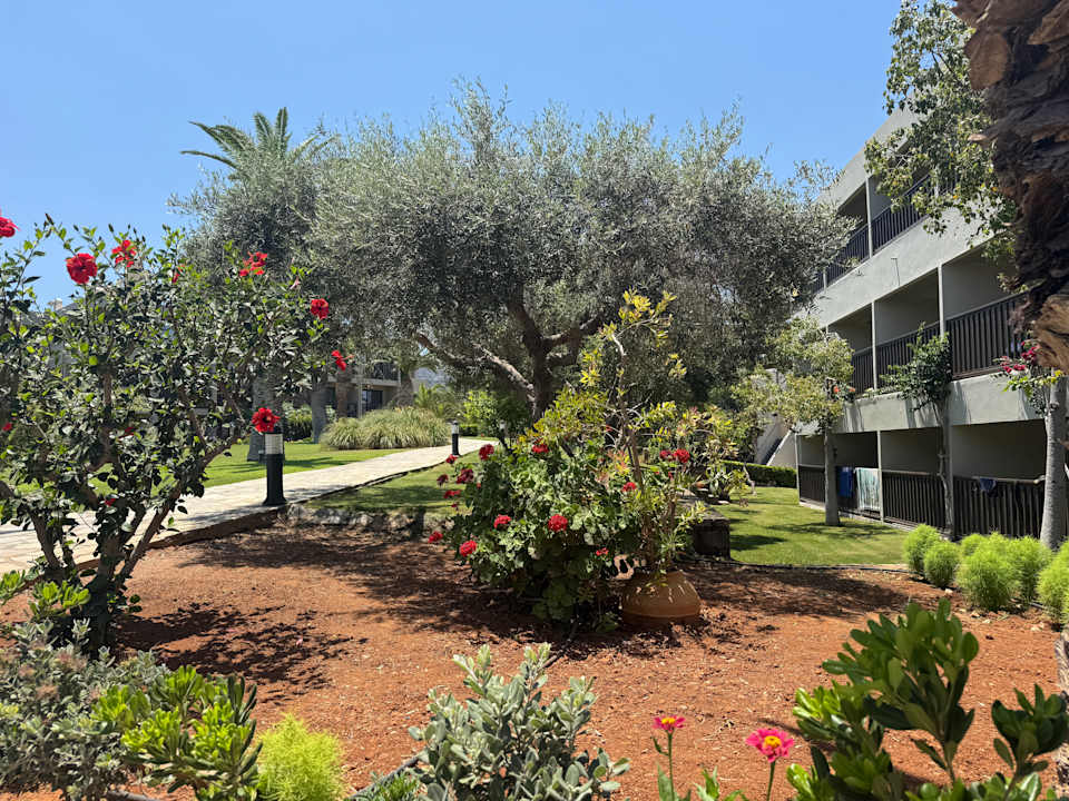 Gartenanlage allsun Hotel Malia Beach