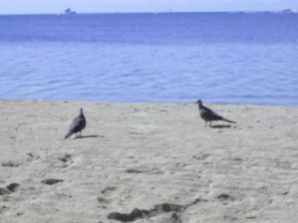 Weißer Strand Prama Sanur Beach Bali