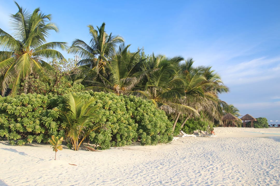 Super Strand Summer Island Maldives