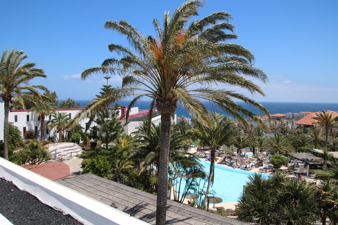 Ausblick allsun App.-Hotel Esquinzo Beach