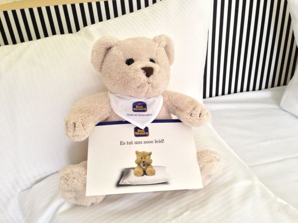 Teddy mit "Es tut uns leid" TRYP by Wyndham Halle