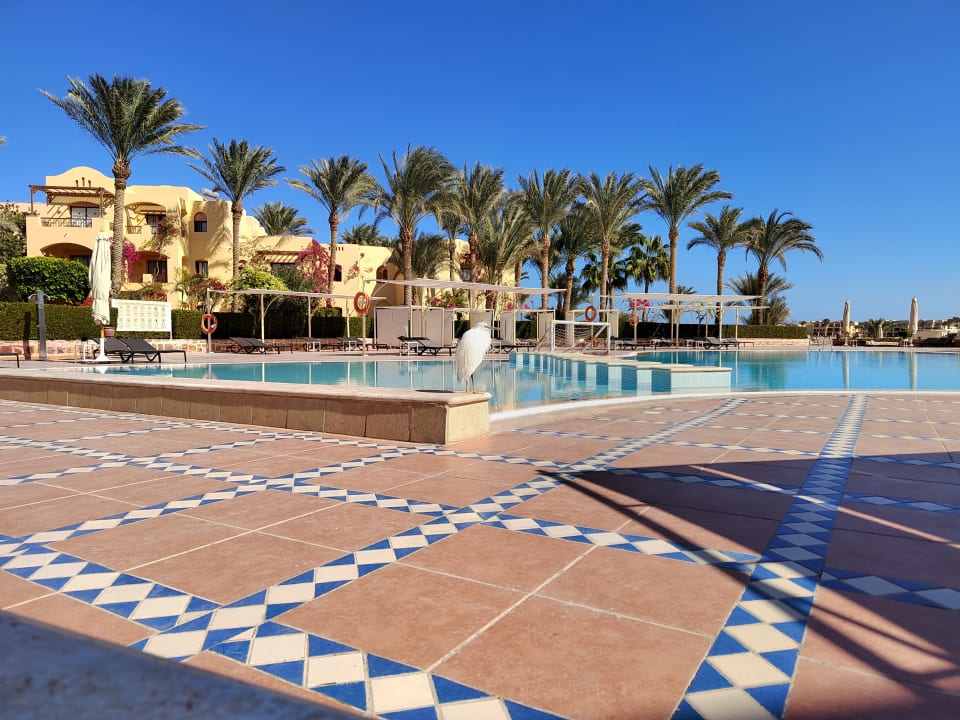 Pool Steigenberger Coraya Beach - Adults only