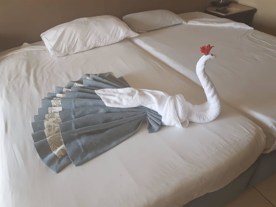 Twórczość sprzątających JAZ Aquamarine Resort