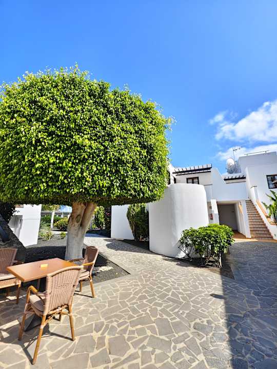 Außenansicht allsun App.-Hotel Albatros