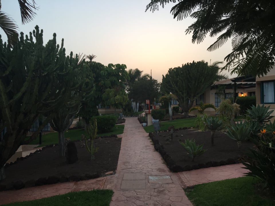 Gartenanlage allsun Hotel Esplendido